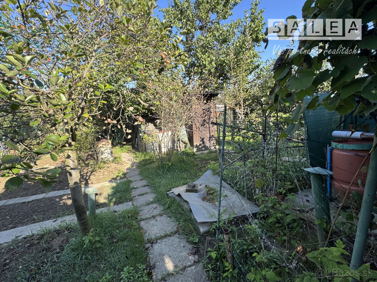 Záhrada 293 m2 v Šali pri tenisových kurtoch - 4