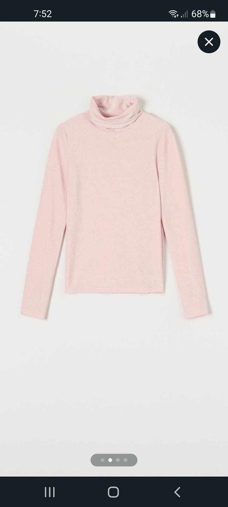 Bledoružový rolák - 4