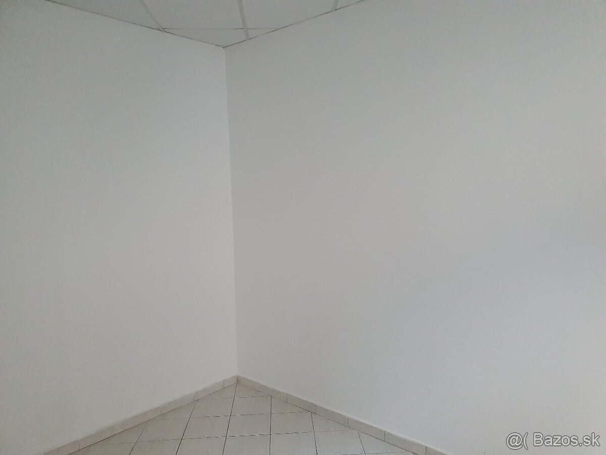 Topoľčany CENTRUM - pešia zóna - 4