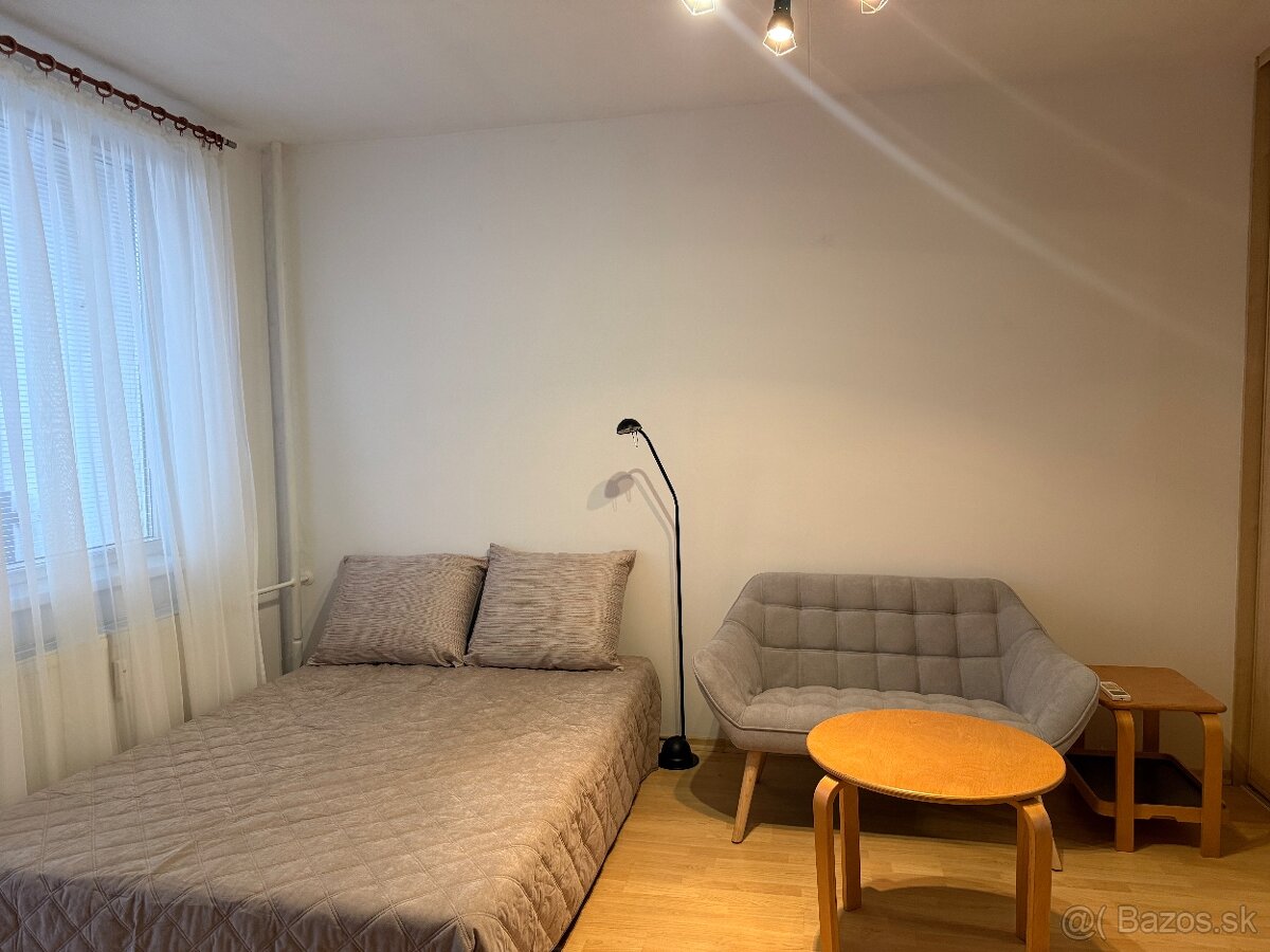 Na prenájom 1 izbový byt pri auparku - Voľný ihned - 4