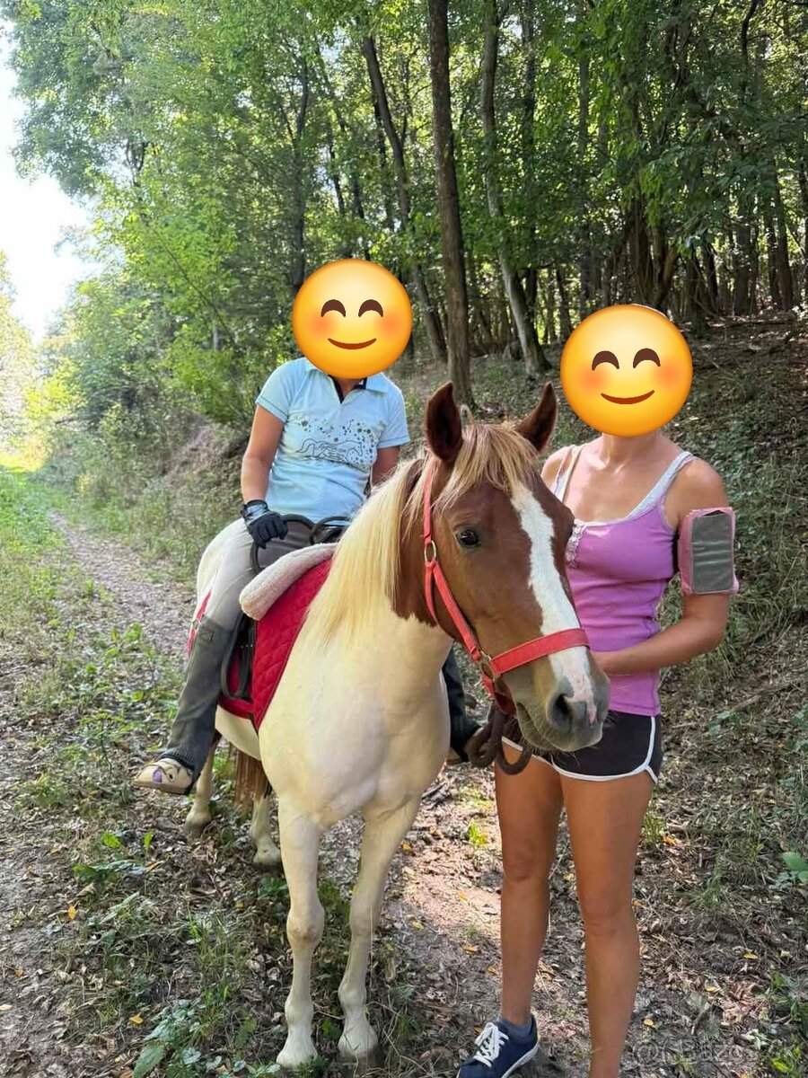 Pony kobylka - 4