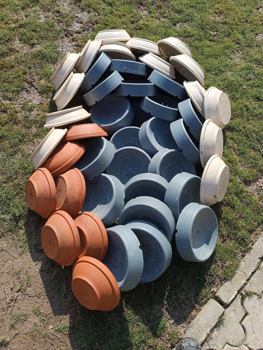 Predám pre poštové holuby - 4