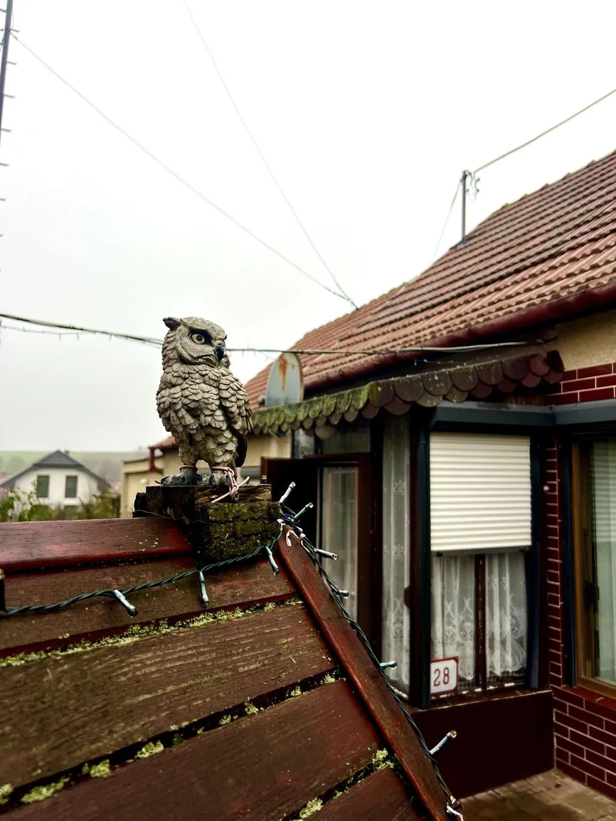 GESTTO | 3,5-IZBOVÝ RODINNÝ DOM S POTENCIÁLOM | 2x GARÁŽ - 4