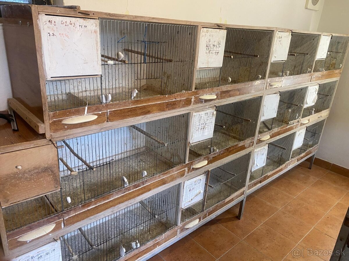 Andulky ,drobotina ,chovne boxy - 4