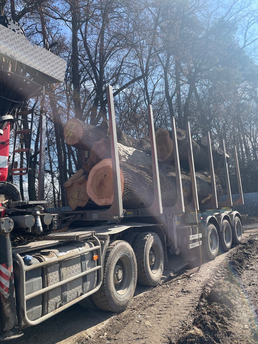 Kúpim Guľatinu kmene stromy drevo - 4