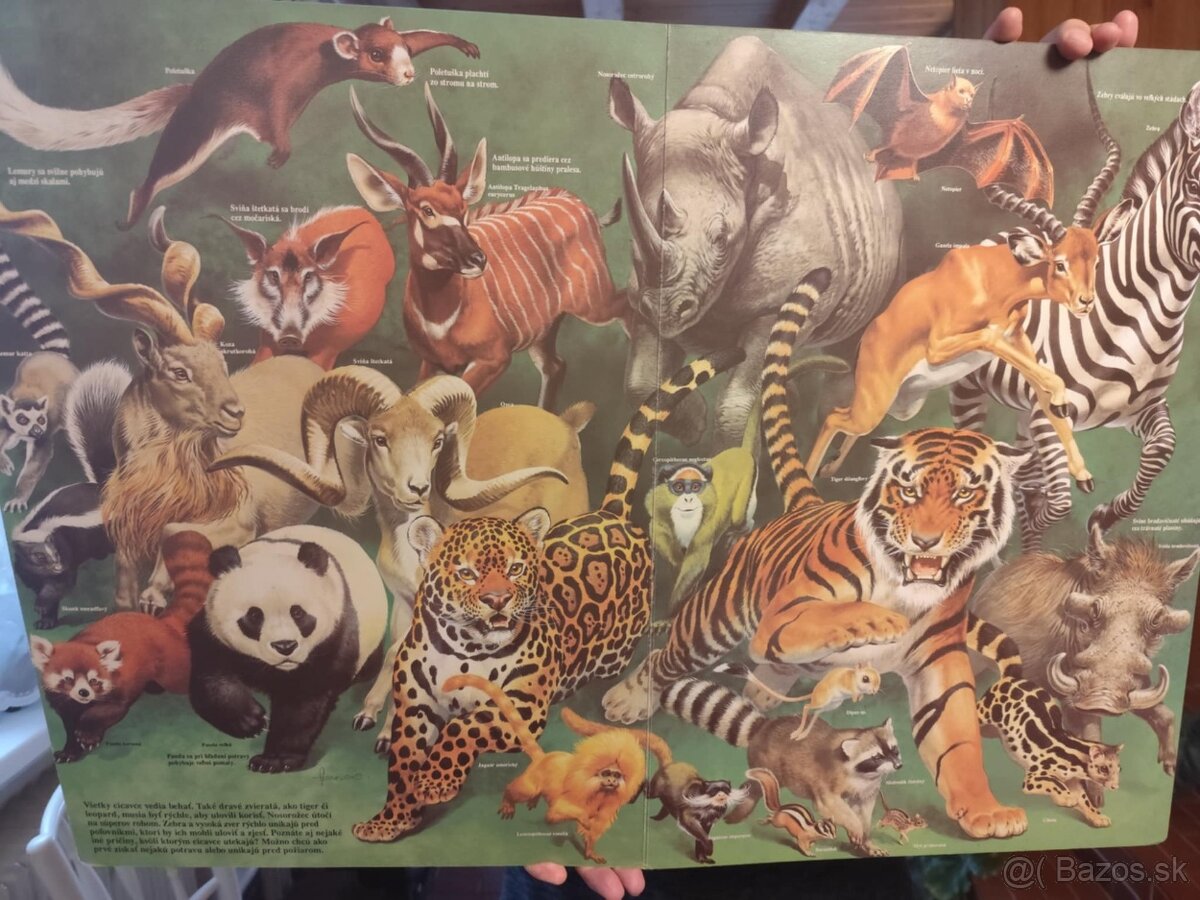 Predám krásnu raritnú obrovskú knihu KNIHA PLNÁ ZVIERAT - 4