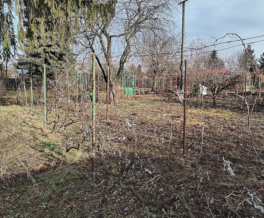 Záhrada na predaj - znížená cena - 4
