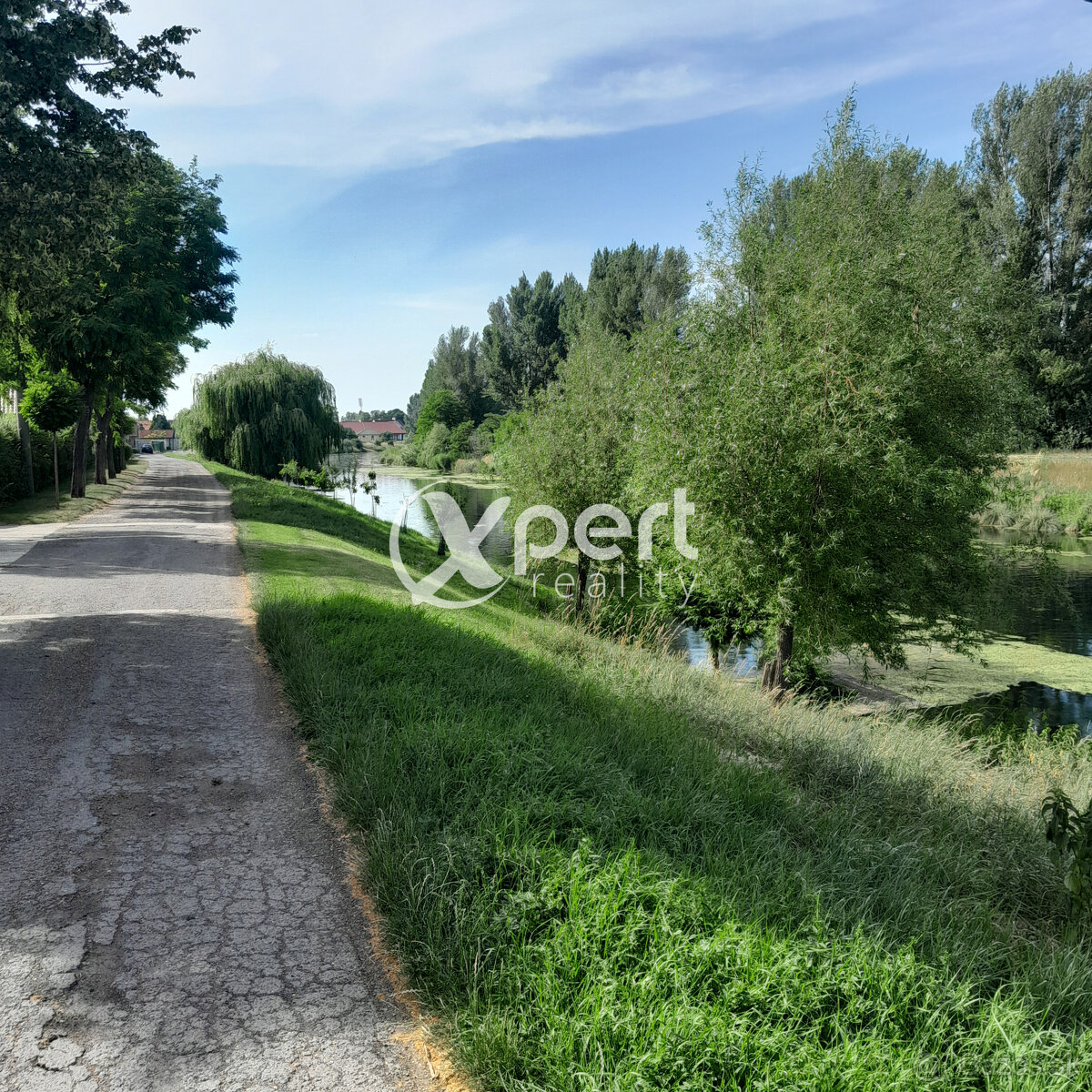 Predaj pekný pozemok 650m2 v Šamoríne časť Čilistov - 4