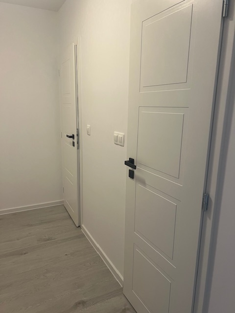 Novo zrekonštr. 2 izb. byt s loggiou, P.Horova - 4