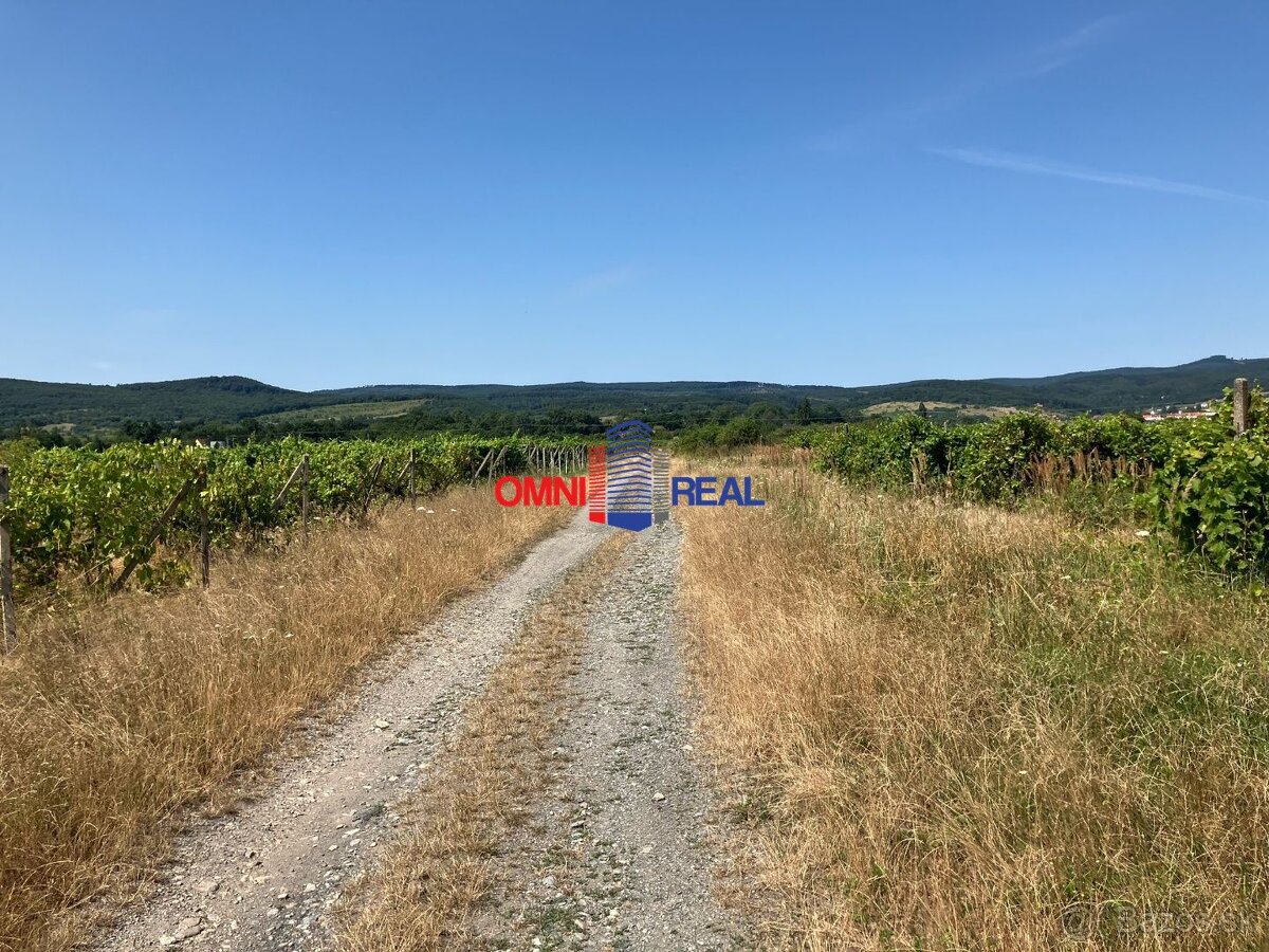 Obrábaný vinohrad Sahara - 33 árov - 4