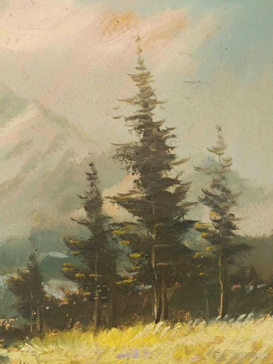 Obraz Vítězslav Fleissig, Vysoké Tatry, olej 31x42 - 4