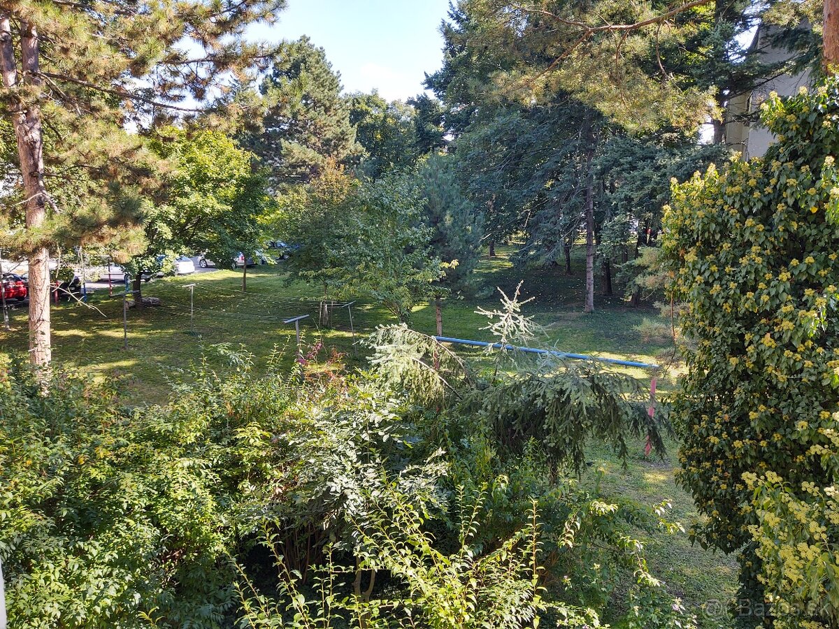 Prenajmem 2.izb.byt v Starom meste s garážou - 4