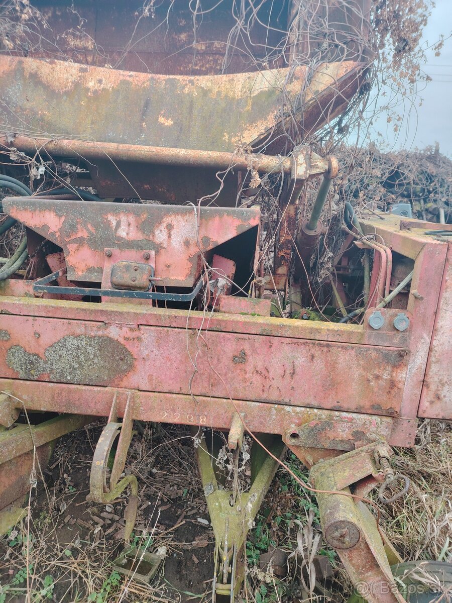 Predám sadzac zemiakov - 4