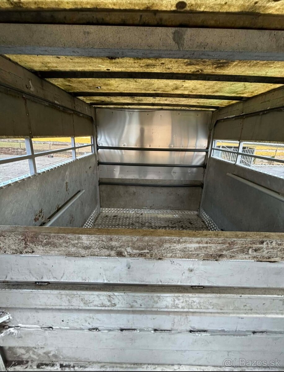 Iveco na prepravu zvierat - 4