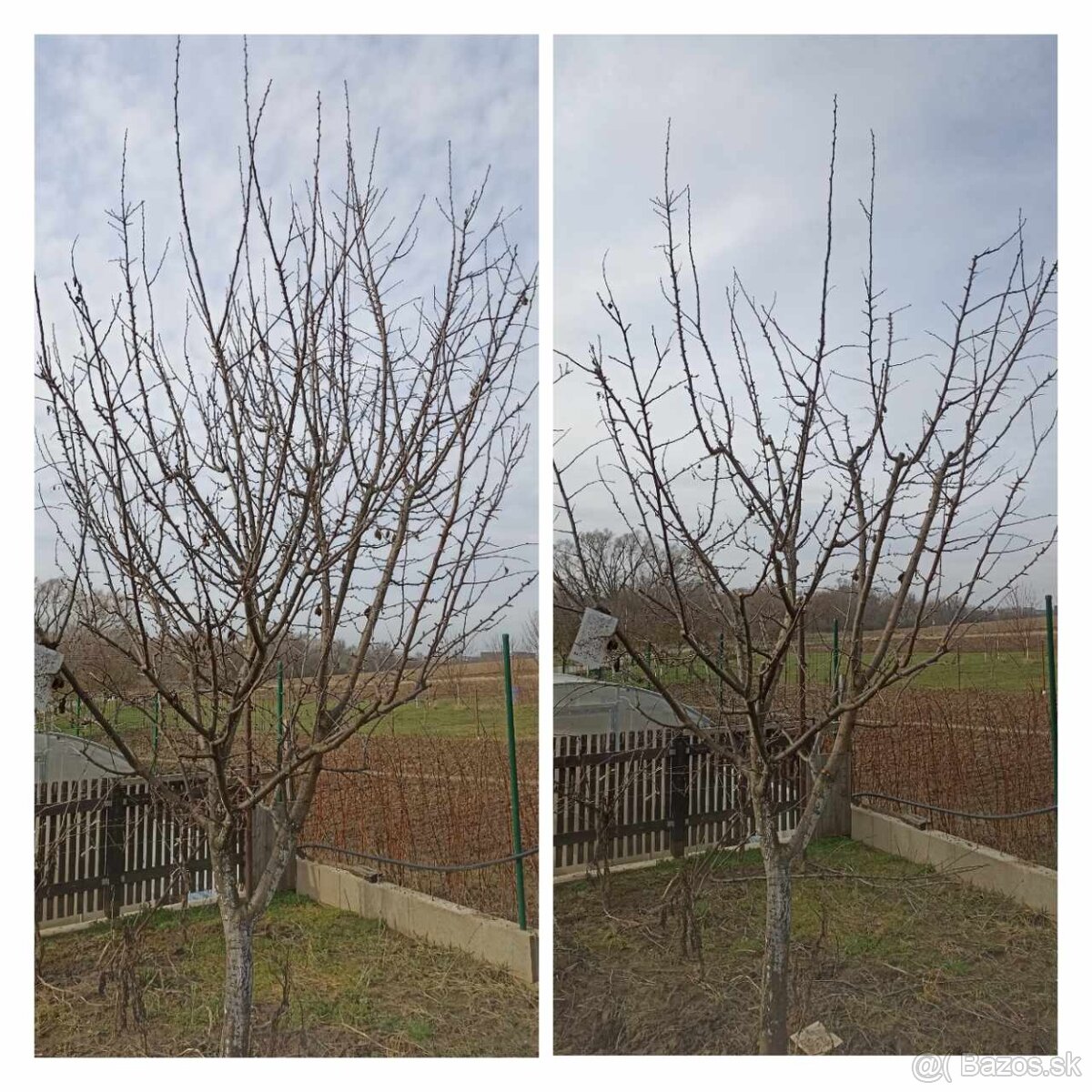 Záhradné práce - 4