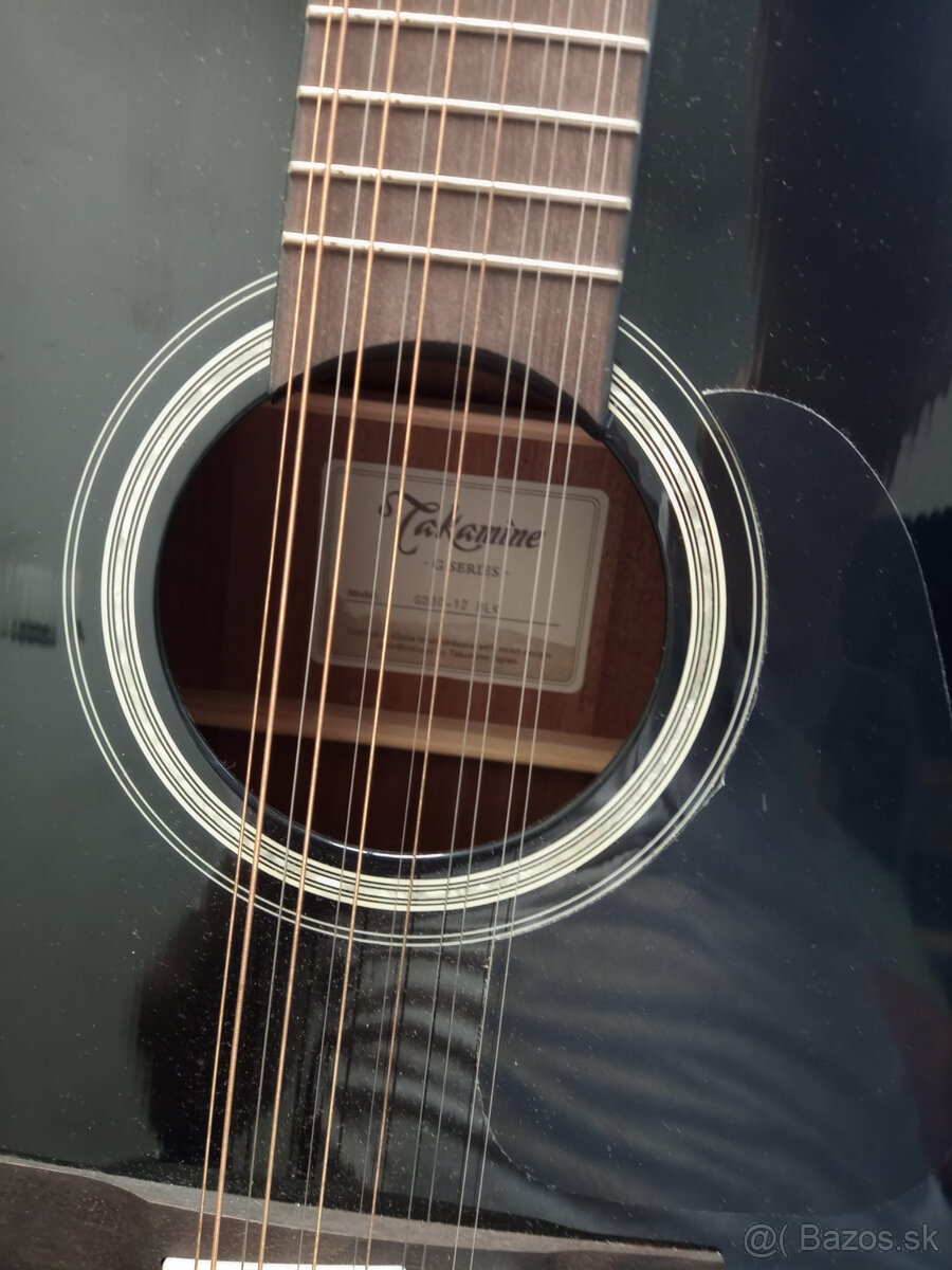 Takamine G-Series - 4