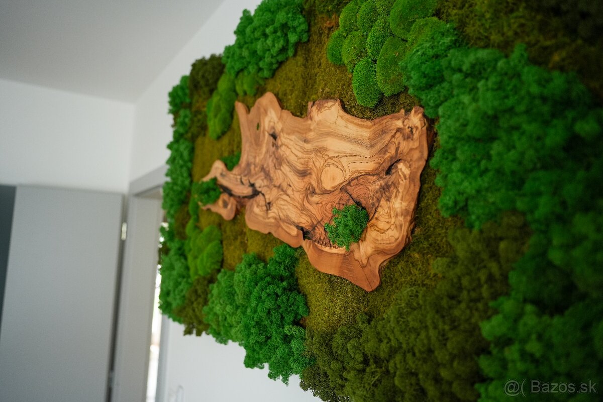 Machovy obraz s olivovym drevom - 4