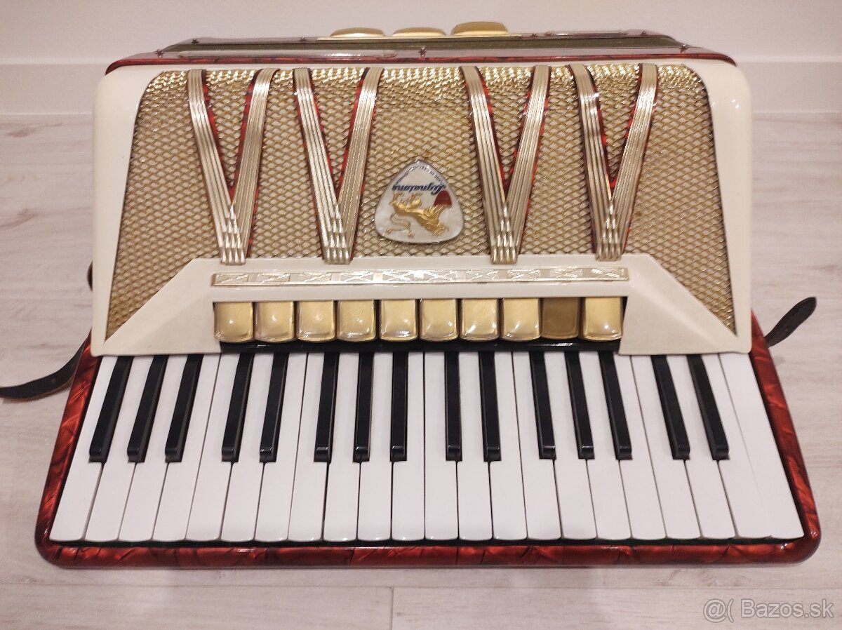 Akordeón Harmonika Delicia melodia VI 96bas - 4