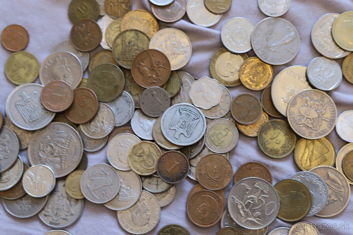 Mince mix Afrika - 4