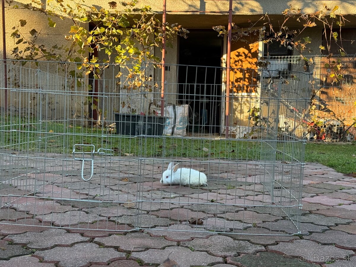 Ohrádka pre domáce zviera - 4