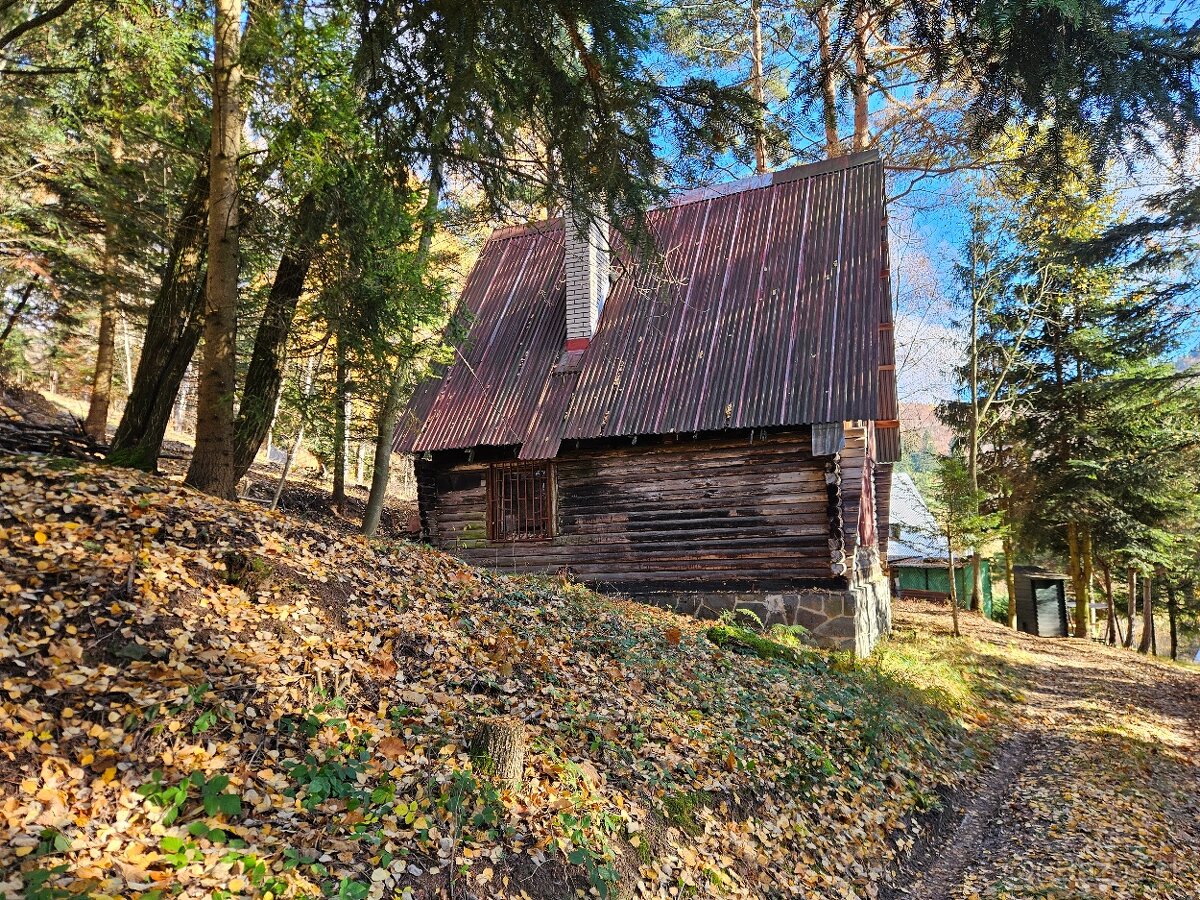 Predam chatu s pozemkom 1978m2 Drienica - 4