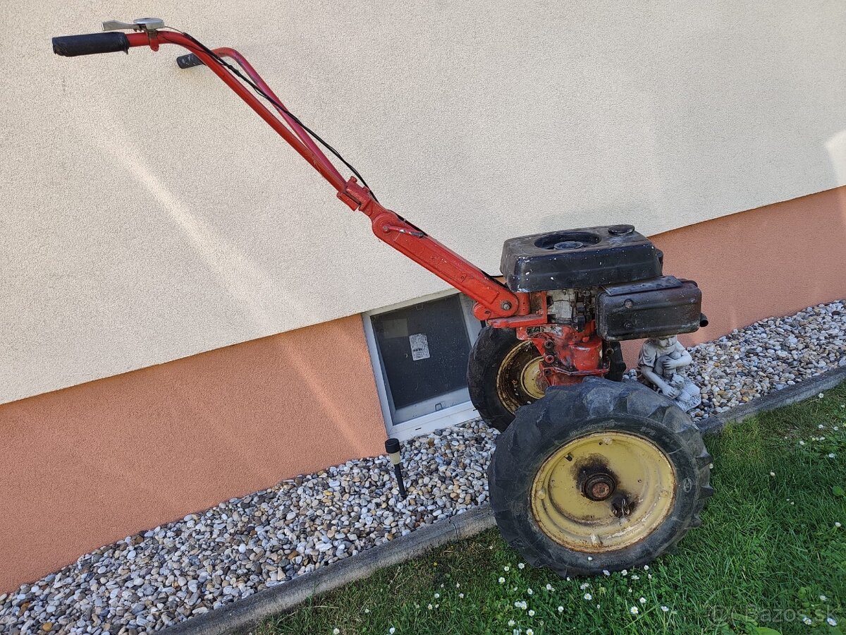 Terra Vari - 4