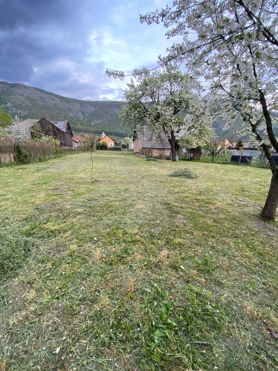 Záhrada / pozemok - 4