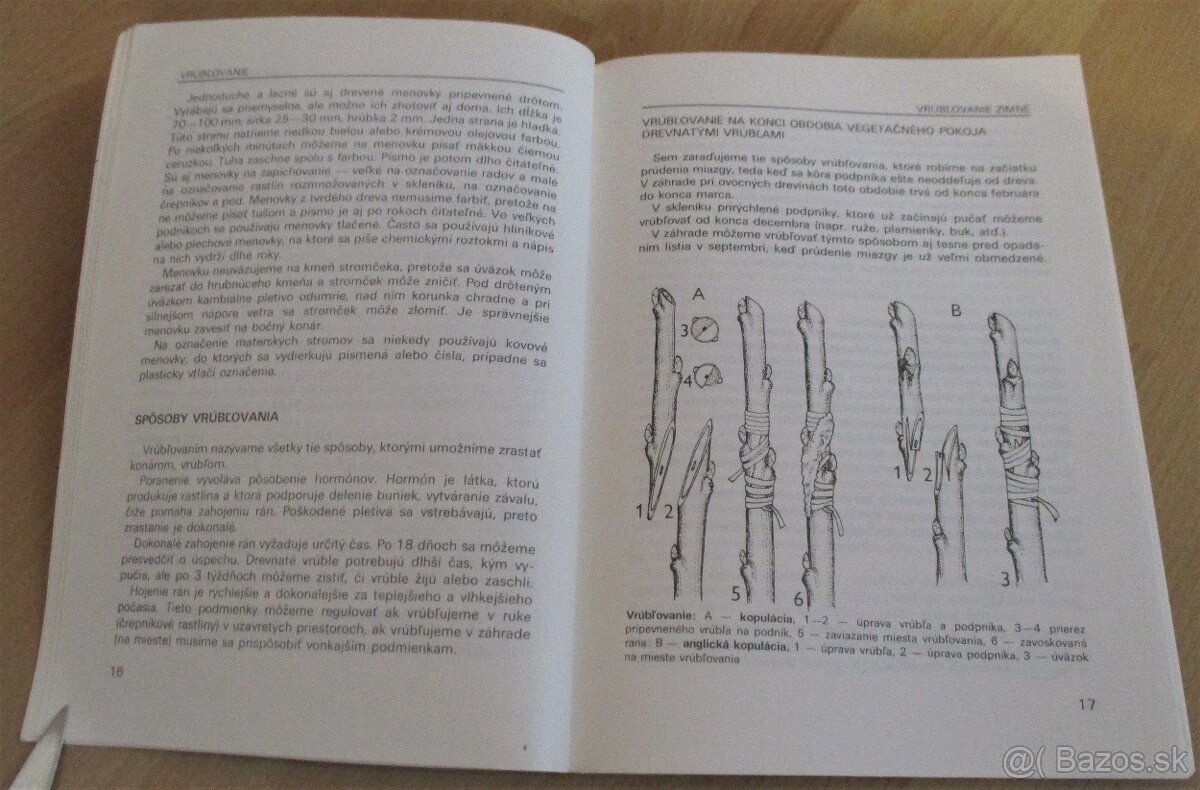 Vrúbľovanie, očkovanie, rozmnožovanie - 4