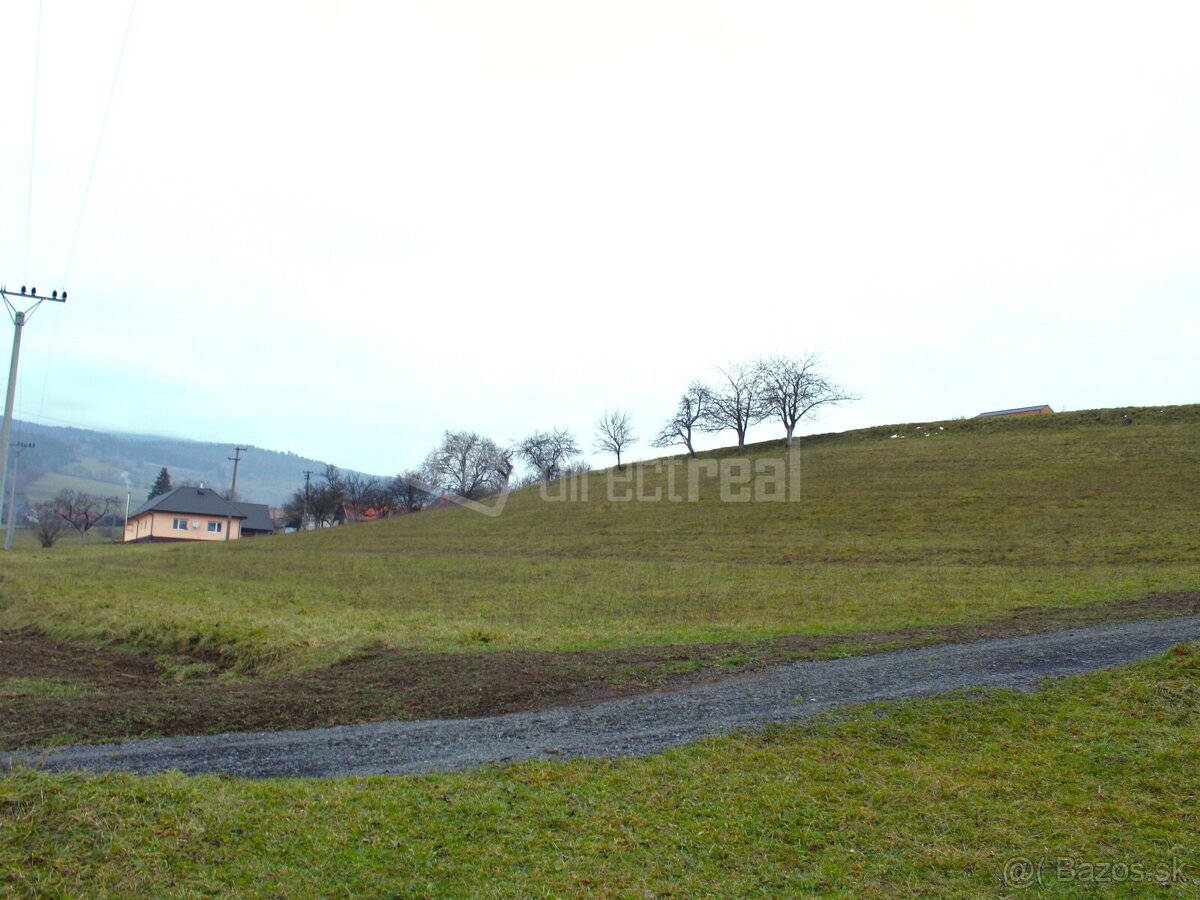 Predaj - orná pôda - Predaj pozemkov v Detve… - 4