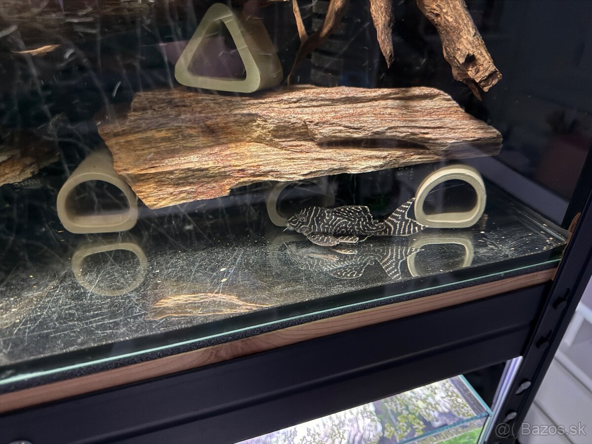 Regály s akváriami, technikou a rybičkami - 4