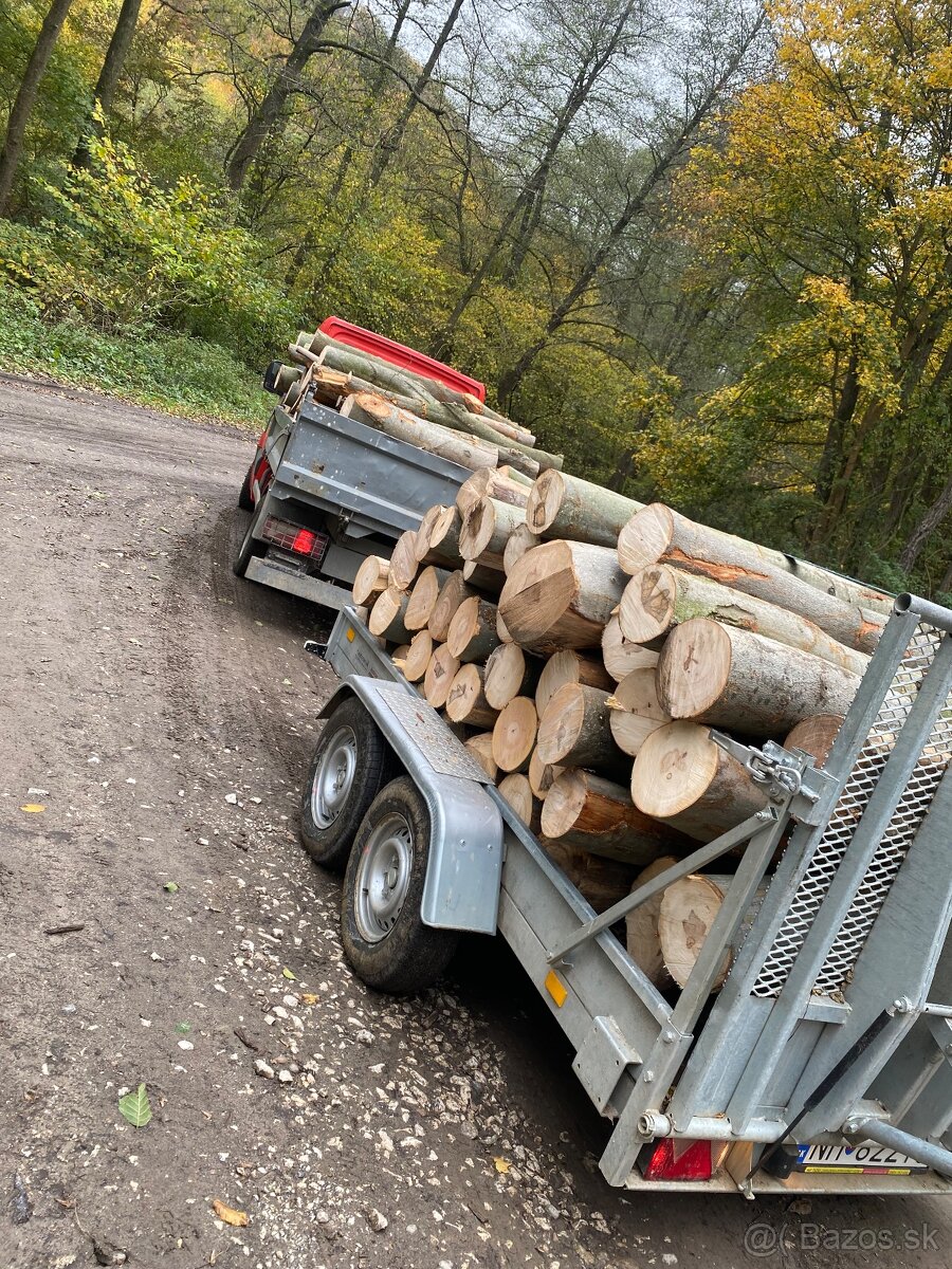 AUTO - DOPRAVA - PREPRAVA // Vyklápač - Dodávka - Odťah - 4