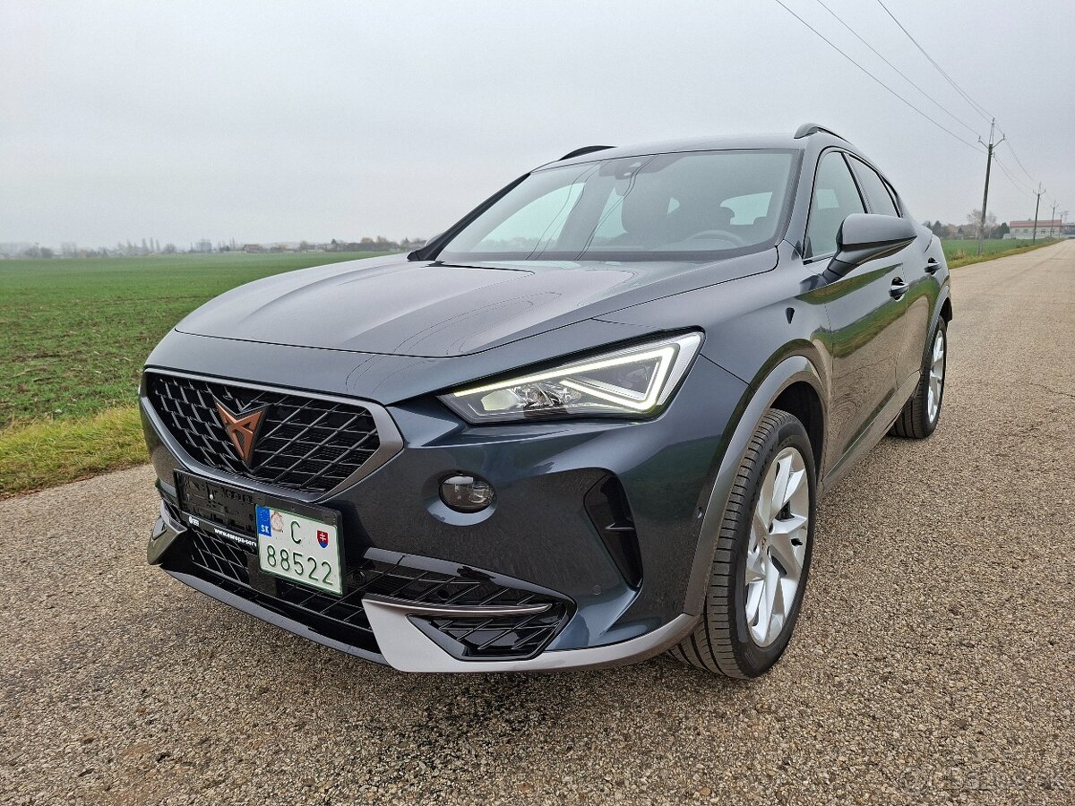 Cupra Formentor 1.5 Tsi DSG - 4