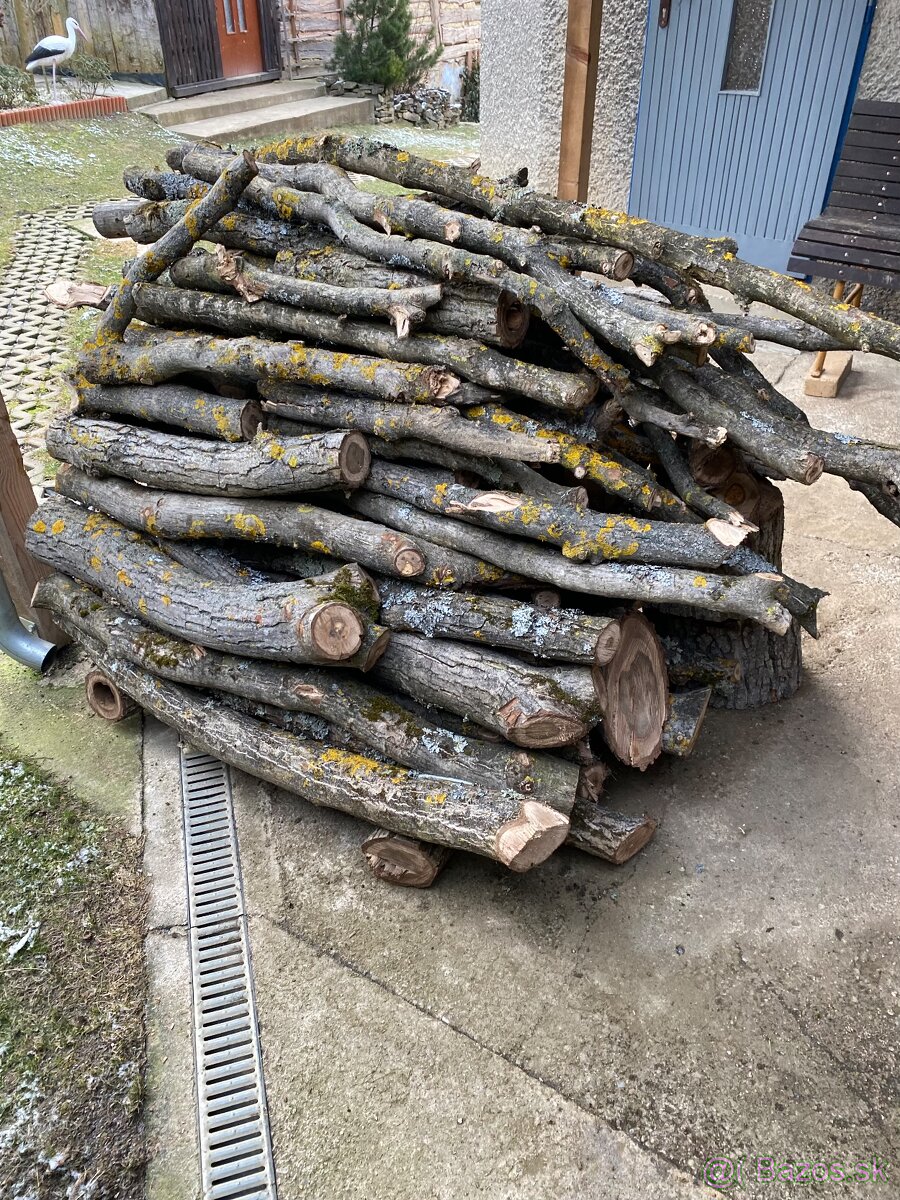 Predám čerstvé orechové drevo - 4