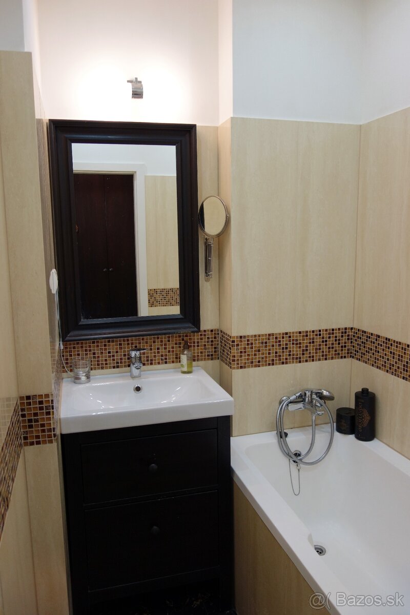 Prenájom 2 izbového bytu Nivy - 4