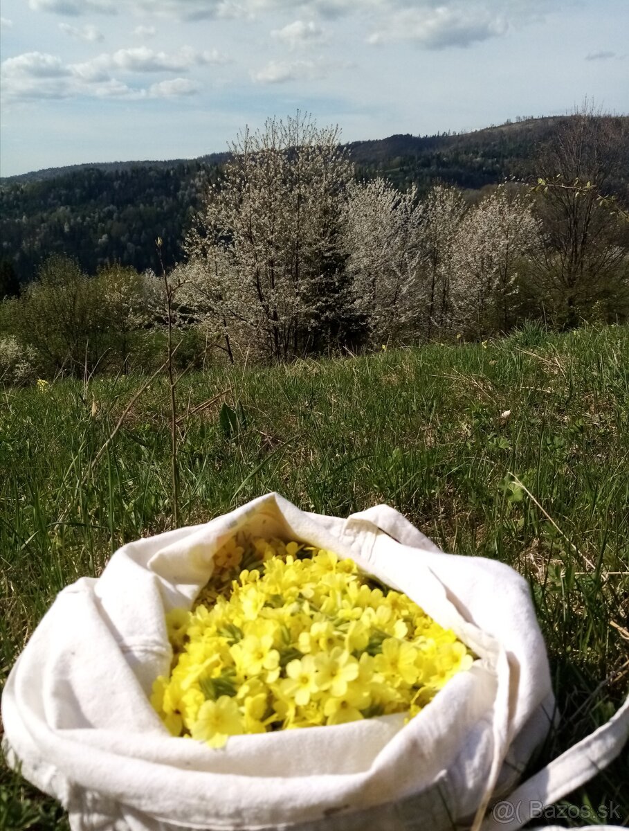 Sušené bylinky a šípky - 4