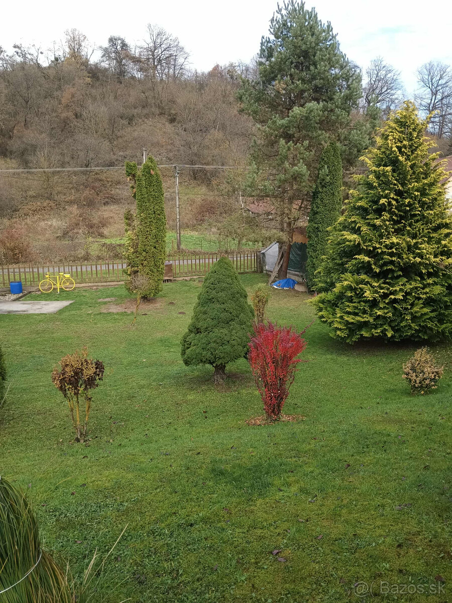 chalupa zahrada stavebny pozemok v obci Jasenovce - 4