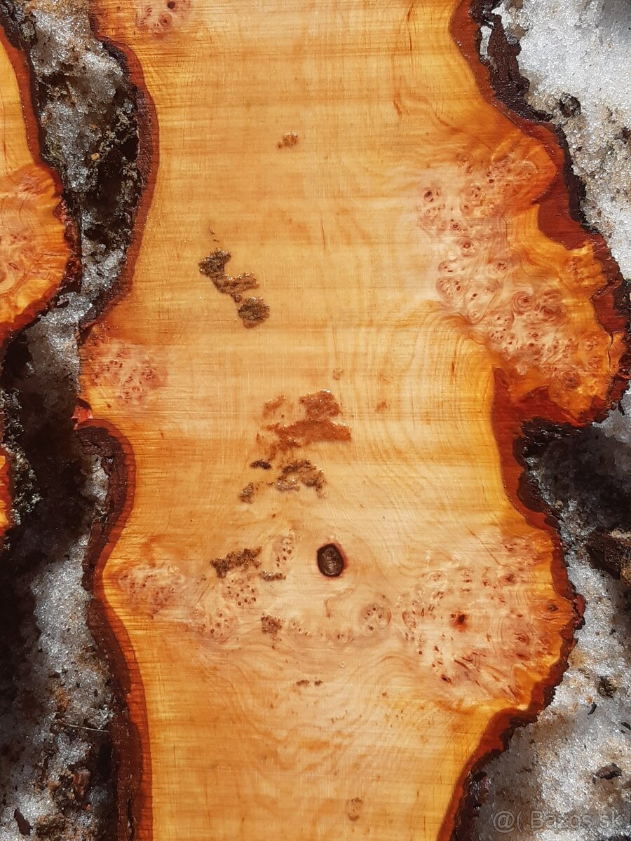 predám orechové drevo a rezivo - 4