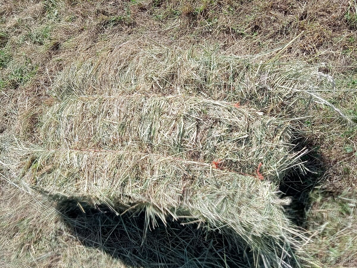 Predám Horské seno v malých balíkoch cena za balík 3,50-eur. - 4