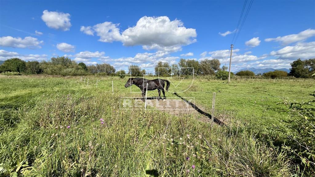Na predaj stavebný pozemok 8917 m2, Liešno - 4
