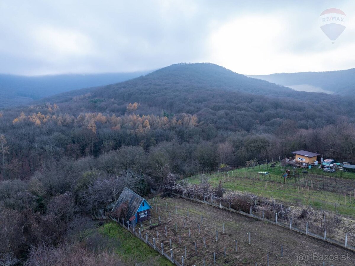 Predaj pozemok Podhorany-Mechenice - 4