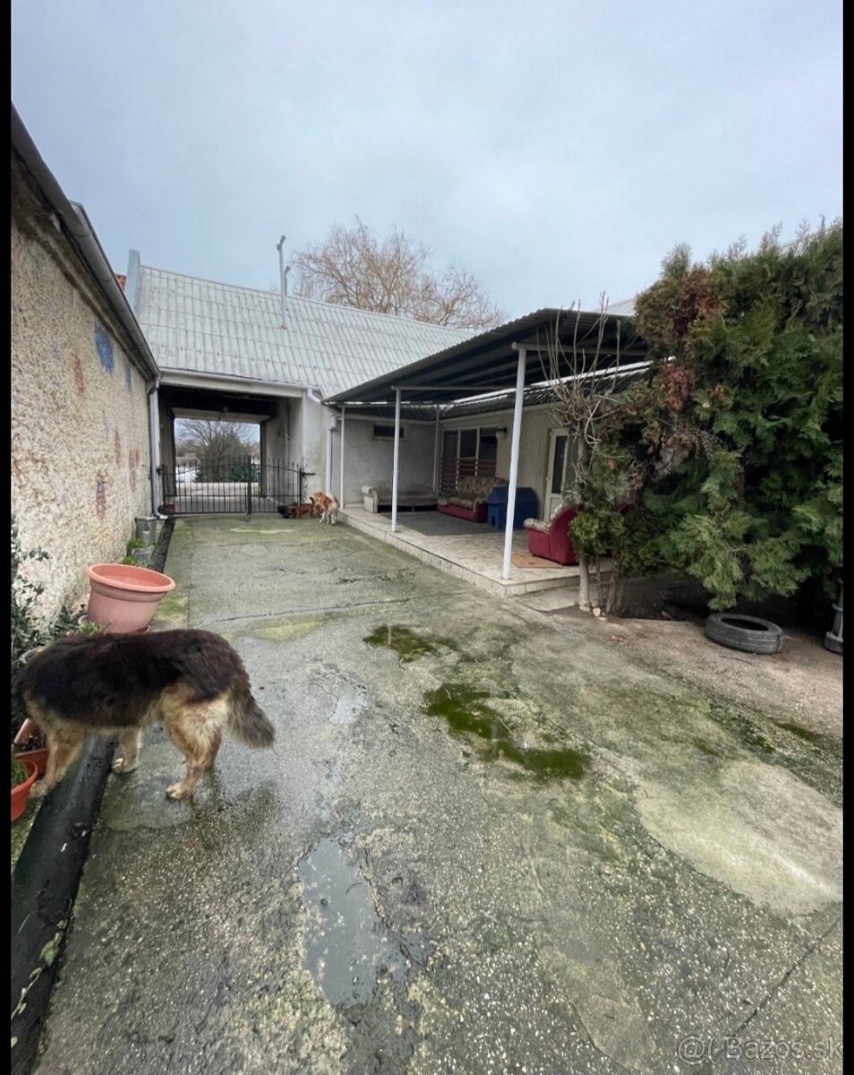 Dom s veľkým pozemkom + veľké priestory - 4