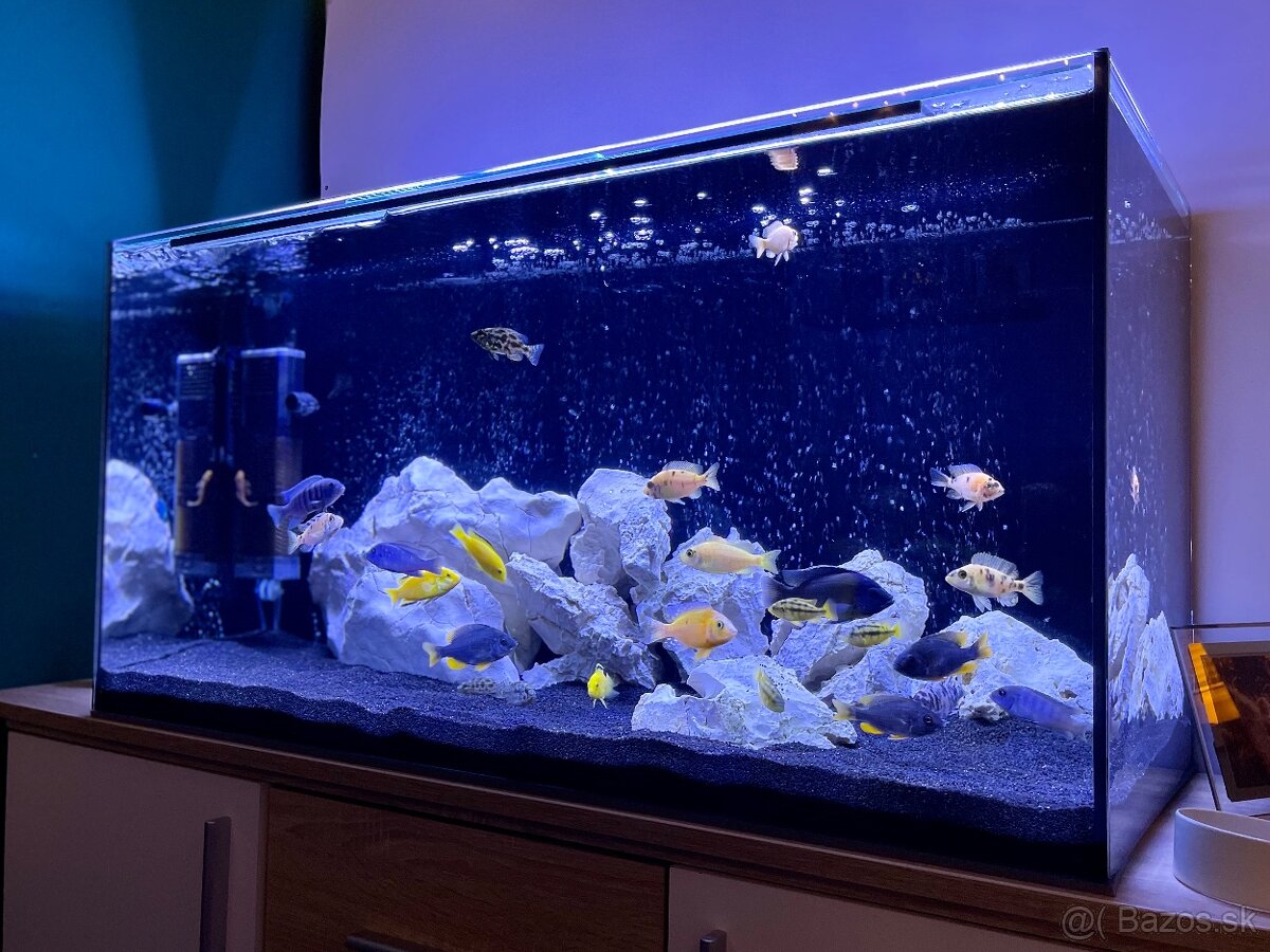 200 L Akvarium s príslušenstvom - 4