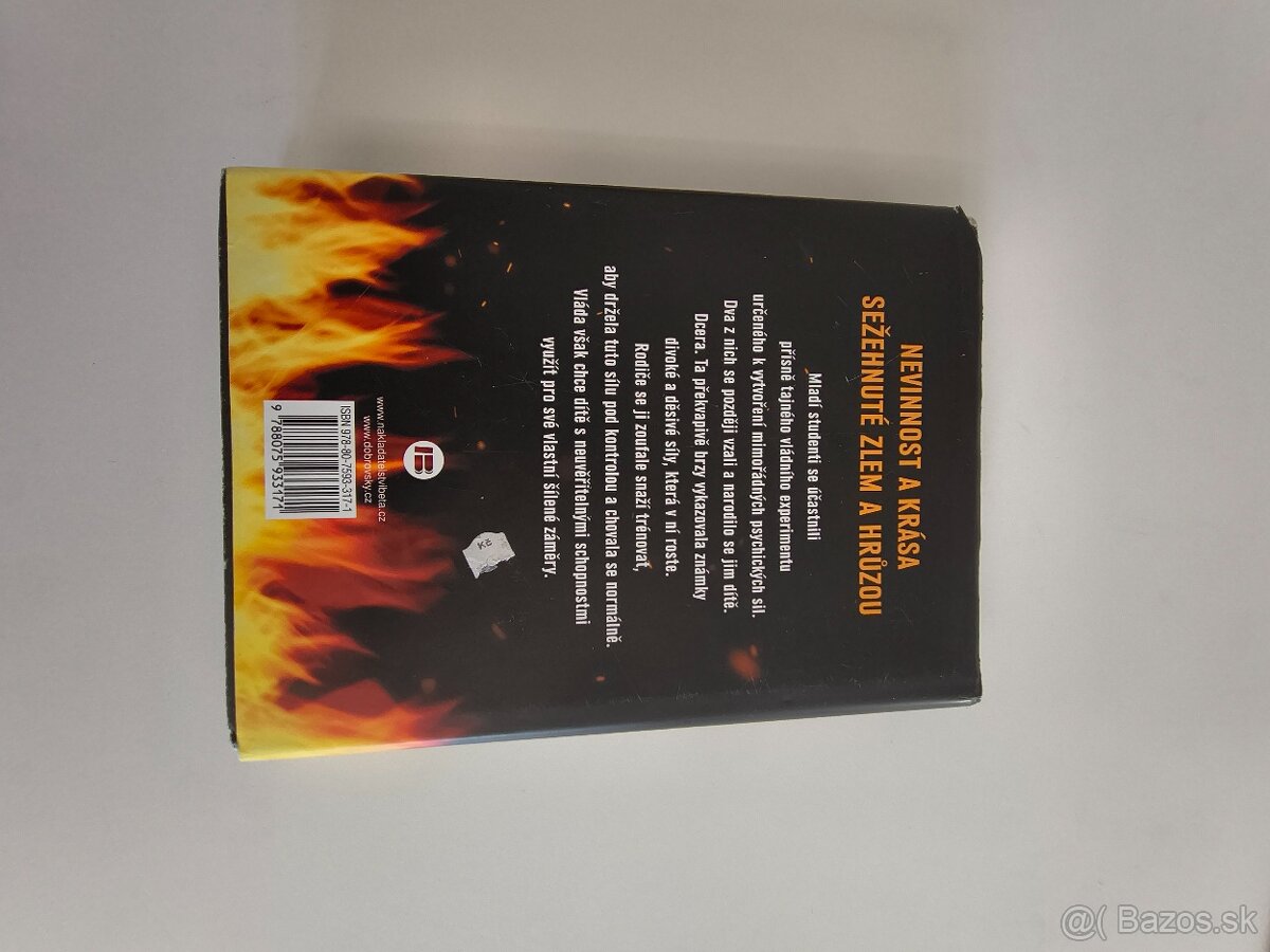 Stephen King, Žhářka, 350 s. - 4