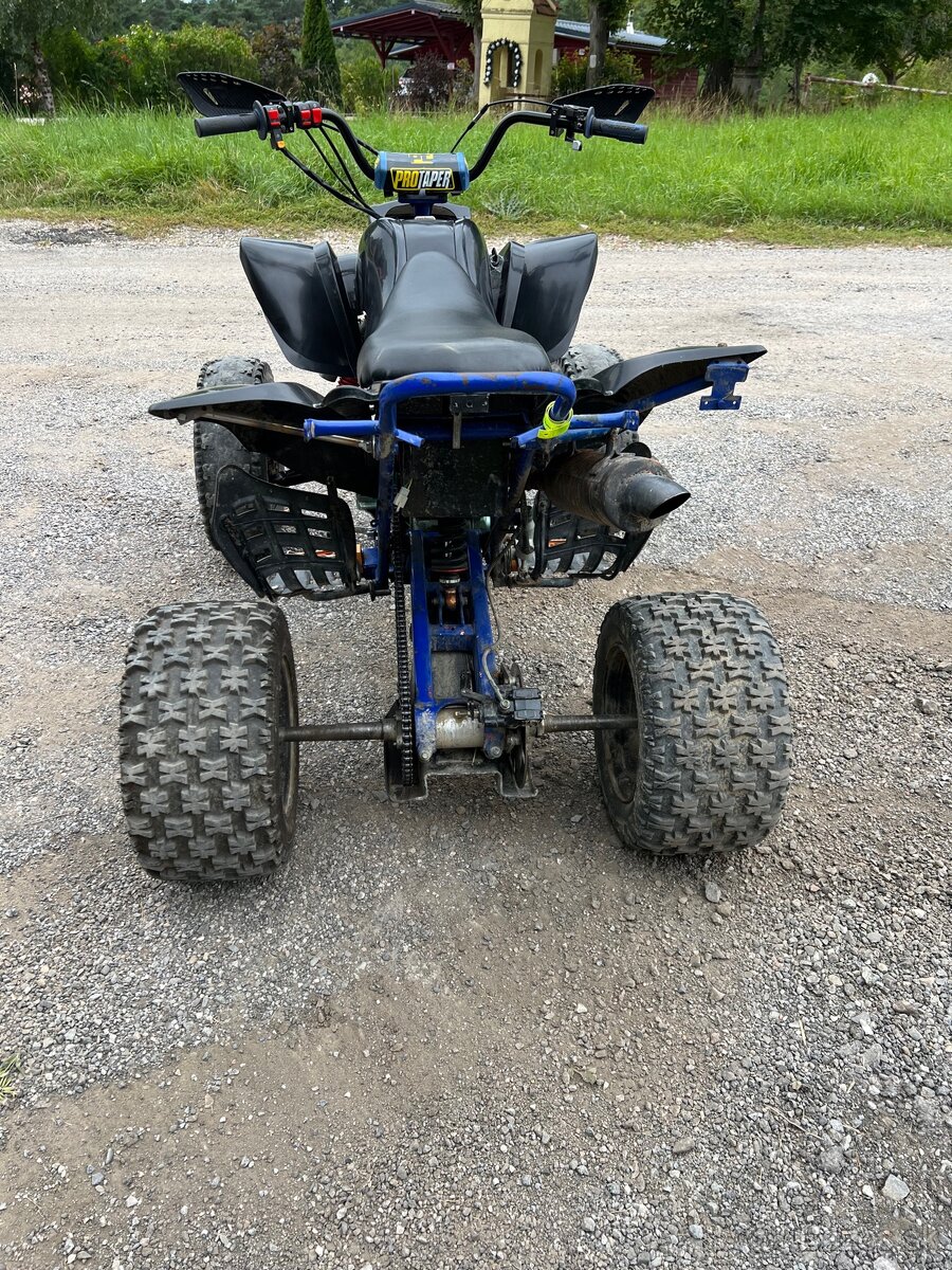 bashan 200
