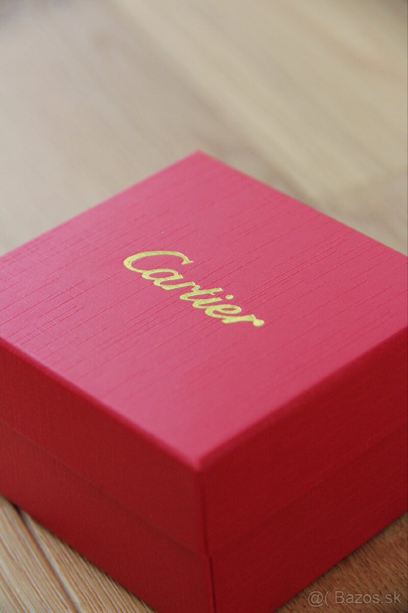 Cartier Santos Silver - 4