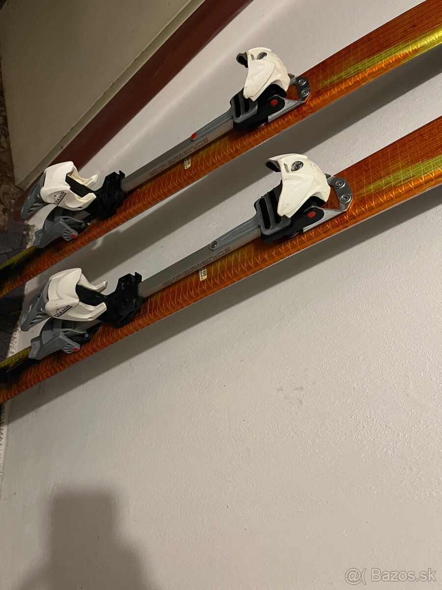Lyže Salomon Scream + pásy - 4