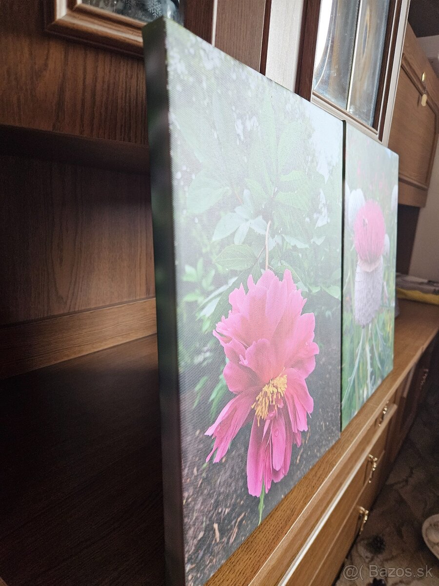 Obrazy - 4