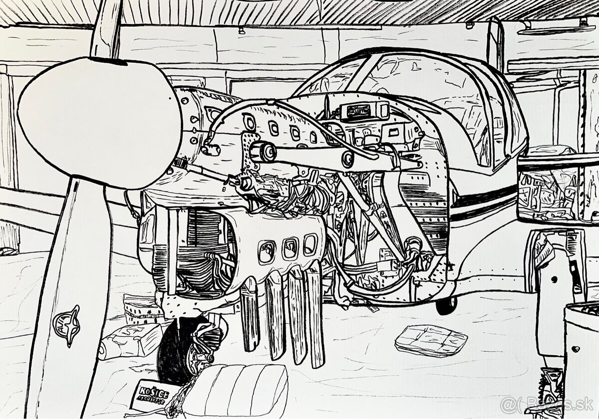 Predám zbierku obrazov - 4