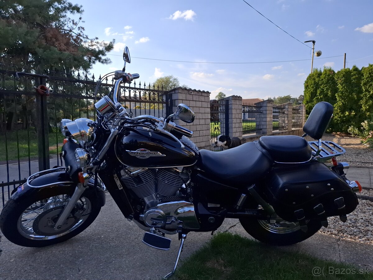 Honda shadow 1100vt - 4