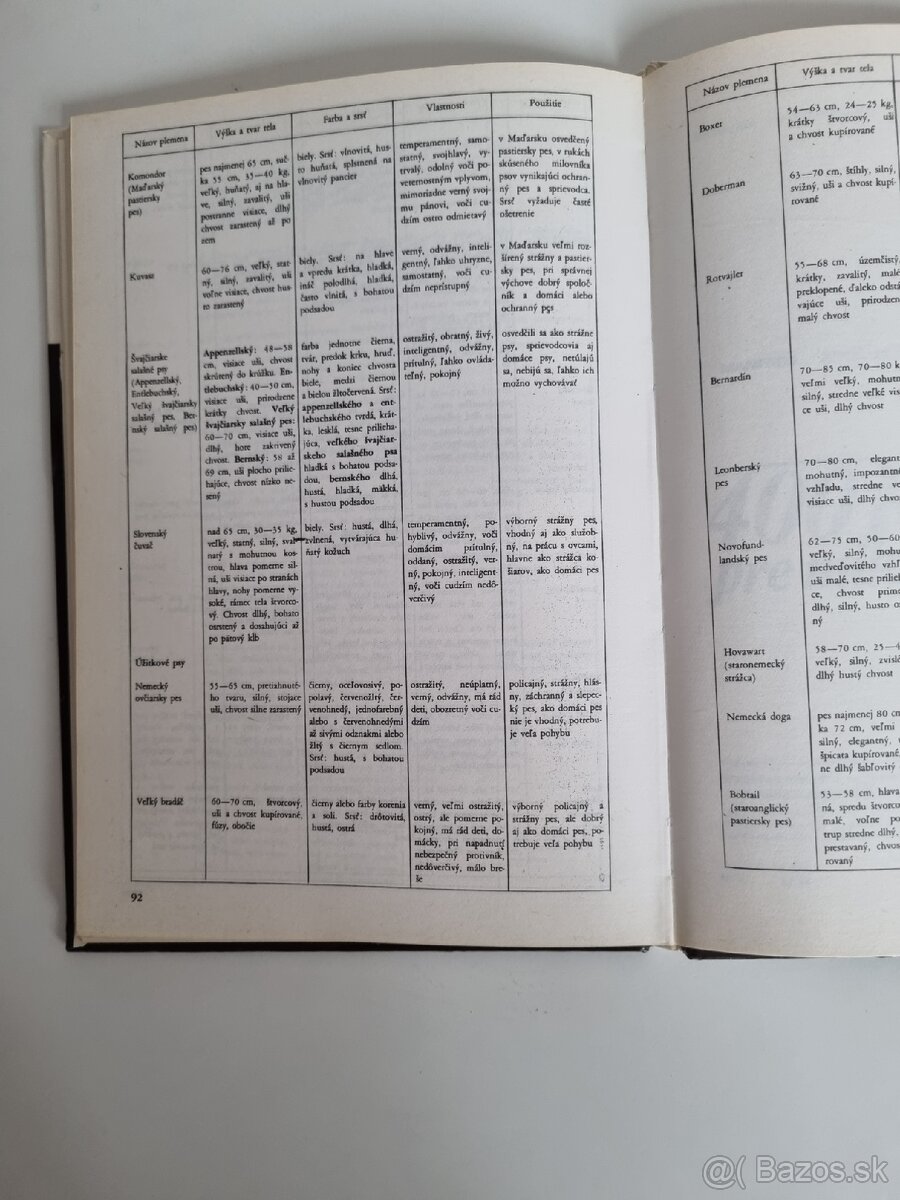 400 rád pre milovníkov psov - 4